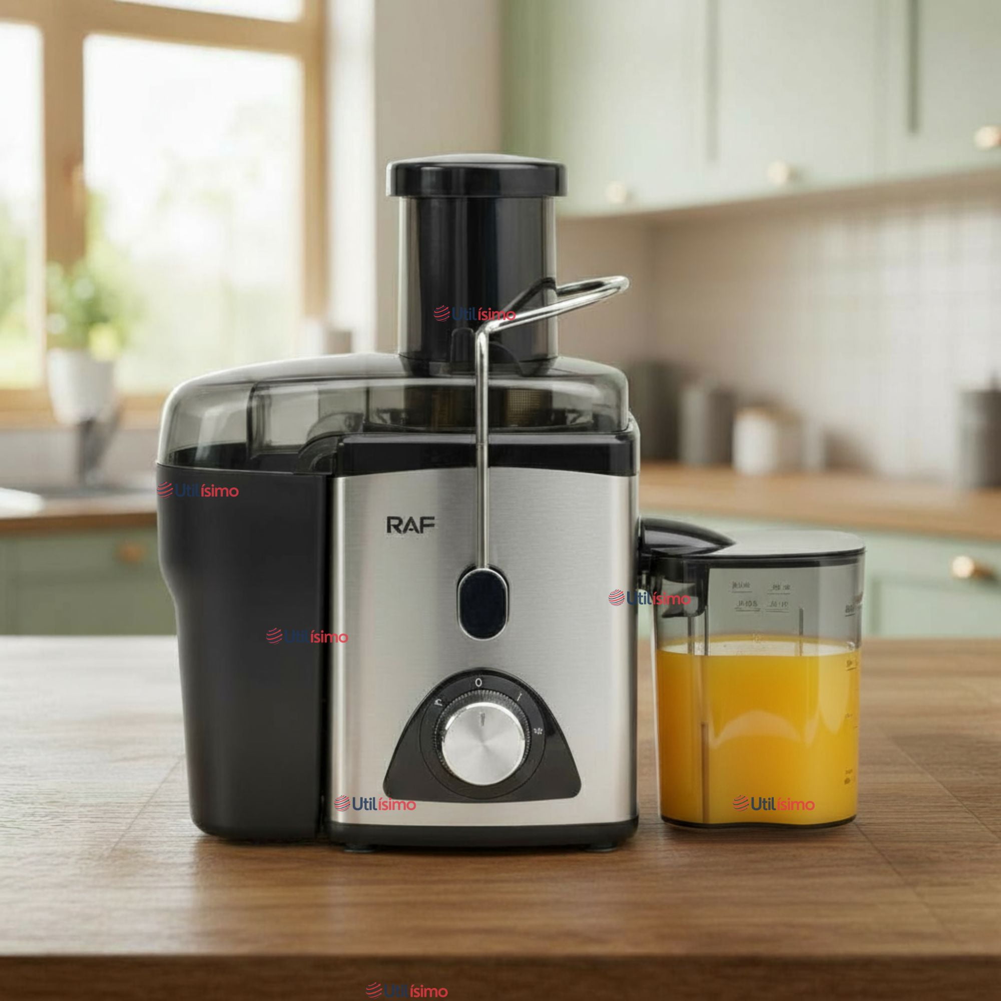 Raf - Extractor Exprimidor De Jugos Eléctrico 1000w De Potencia Frutas Y Verduras