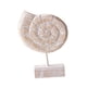 thumbnail image 1 of Estatua De Madera Para Mesa De Playa, Decoración Artística, Figura Para Ba?o, Playa, Casa De Campo, Forma De Caracola, 1 of 5
