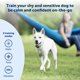 thumbnail image 2 of Collar de adiestramiento remoto PetSafe de 300 yardas para perros pequeños, 2 of 6