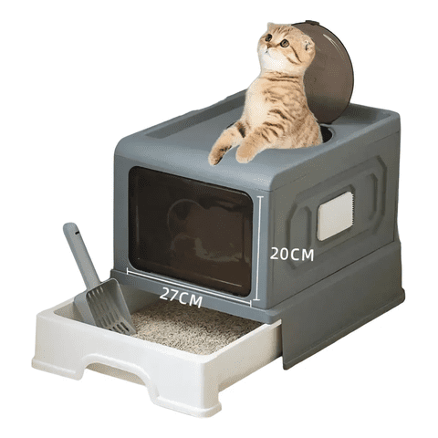 Genérico - Arenero Extraible Bandeja Sanitaria Para Gatos Xl Baño Lindo Azul Menta