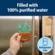 thumbnail image 3 of Refrigerante Teether Dr. Brown's AquaCool lleno de agua, paquete de 3 m+, 2 unidades, 3 of 9