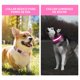 thumbnail image 5 of Collar para perro PcEoTllar L rosa iluminado y recargable, 5 of 7