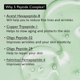 thumbnail image 4 of Crema HARUHARU Wonder Centella Phyto & 5 Peptide, 30 ml, vegana, 4 of 6