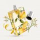thumbnail image 3 of Perfume Kumbra With Love Marina Zest 100ml Hombre Cítrico Amaderado, 3 of 7