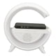 thumbnail image 1 of PARLANTE PORTATIL LUCES RGB BLUETOOTH MUSICA INALAMBRICA LAU, 1 of 3