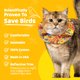 thumbnail image 3 of Cubierta para Collar de Gato Birdsbesafe – Advertencia de Seguridad para Pájaros, 3 of 9
