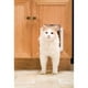 thumbnail image 2 of Puerta Gato 2 vias PetSafe, 2 of 3