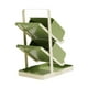 thumbnail image 3 of Soporte Para Palillos Almacenamiento Utensilios Cocina Verde, 3 of 3