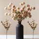 thumbnail image 1 of Flores artificiales Ryddelighome de seda beige, 10 tallos con eucalipto, 1 of 9
