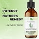 thumbnail image 2 of Aceite de romero Jeune Naturelle, 60 ml, cuidado del cabello 100% puro y natural, 2 of 3