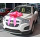 thumbnail image 1 of Lazo para auto Car Bow Store 76 cm rosa con ventosa, 1 of 1