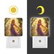 thumbnail image 3 of Enredados: Cabello Largo Luz nocturna LED con sensor de anochecer a amanecer para dormitorio, baño, pasillo, escaleras - Lámpara LED nocturna de enchufe, 0.5W - 1 pieza, 3 of 6