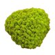 thumbnail image 3 of 25g Simulación Bolas De Musgo Piedra Bricolaje Jardín Planta Florero Decoración Verde, 3 of 5