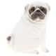 thumbnail image 3 of figura animal modelo plástico figurita ni?os juguete regalo decoración del hogar pug blanco, 3 of 5