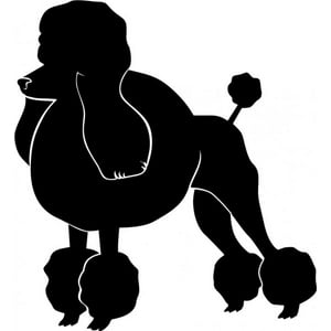 Rienda Libre Graphics - Decomural Poodle Dog Ws-17581