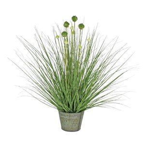 Corel - Planta Decorativa Pasto Cebolla Florencia/Verde 71 Cm
