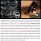 thumbnail image 3 of DOOGEE Fire 3 Pro: Compacto Rugged Todo Terreno Resistente, 3 of 11
