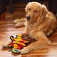 thumbnail image 5 of Juguete Durablez Mediano Outward Hound Gecko de 35 cm, Peluche con Chirrido, Naranja, 5 of 6