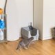thumbnail image 4 of Caja de arena para gatos IRIS USA, grande, con la parte superior abierta, cara alta, plateada, 4 of 7