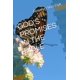 thumbnail image 1 of Libro Majosta: Promesas de Dios en la Biblia, 1 of 1