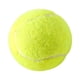thumbnail image 1 of Pelota De Tenis Elástica Para Mascotas, Juguetes De Repuesto Para Ejercicio De Entrenamiento De Tenis, 1 of 5