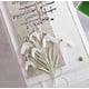 thumbnail image 4 of Troquel de corte de metal Lapoo Herbal A para álbumes de recortes, 7 x 6 cm, 4 of 7