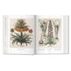 thumbnail image 2 of Biblioteca Universal - Florilegium, 2 of 8