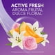 thumbnail image 2 of Desodorante Gel Lady Speed Stick Fresh Mujer, 65 g, 2 of 13