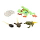 thumbnail image 5 of Figuras De Ciclo De Vida De Simulación Figuras De Libélula Para Favores De Fiesta Niños Rana De árbol De Ojos Rojos, 5 of 5