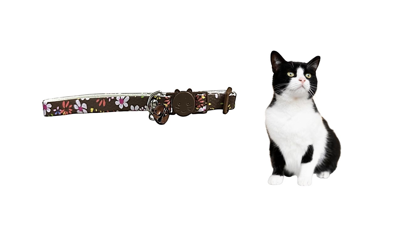 Marben Pets - Collar Para Gato Gatita Anti Ahorque Diseño De Flores Marrón