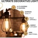 thumbnail image 2 of Bombillas HUDSON BULB CO. Edison incandescente vintage de 60 W, 2 of 7