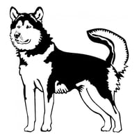 Rienda Libre Graphics - Decomural Siberian Husky Dog Ws-34726