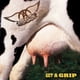 thumbnail image 1 of LP Geffen Get A Grip [2 LP], 1 of 1