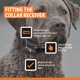 thumbnail image 5 of Collar para Perro SportDOG SBC-R Impermeable y Programable, 5 of 8