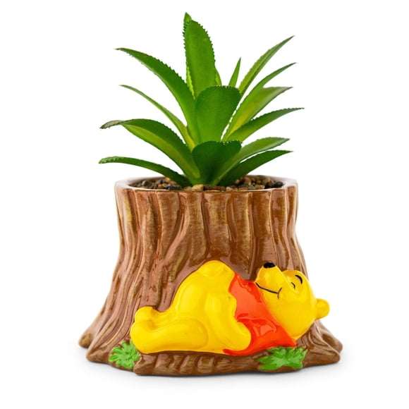 Maceta de cerámica con tocón de árbol de Winnie The Pooh con suculentas de 5 pulgadas