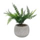 thumbnail image 4 of Planta Artificial filicopsida, 4 of 4