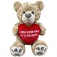 thumbnail image 1 of Osito de peluche Messenger Bear 36 cm Corazón "Te echo de menos", 1 of 7