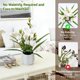 thumbnail image 4 of Planta Artificial BTHM DSGN Orquídea Cymbidium 48 cm - Blanca, 4 of 7