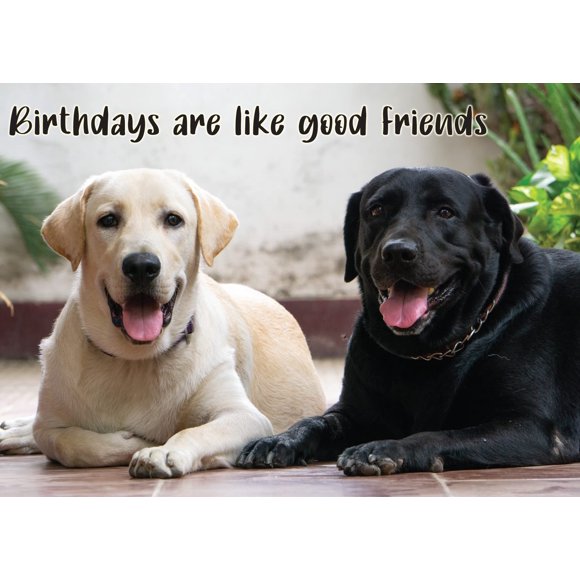 Tarjeta de Felicitación Glory To Dog Labrador Retriever Mejor Amigo