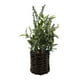 thumbnail image 2 of Planta Artificial Lavanda Decorativa Macetero De Rattan Deco, 2 of 8