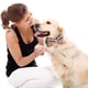 thumbnail image 4 of Collares para perros y gatos con pajaritas ajustables y desmontables, de caballero., 4 of 5