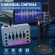 thumbnail image 3 of Kit de Podcast Hayner-Seek para 2, Interfaz de Audio XLR, 3 of 7
