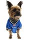 thumbnail image 2 of Camiseta NFL para perro Pets First, 2 of 3
