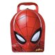 thumbnail image 1 of Caja de Lata Spider-Man 33 cm Rojo y Negro – Carry All The Tin Box Co, 1 of 1