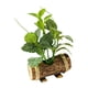thumbnail image 2 of Plantas Verdes En Macetas Artificiales Plantas En Macetas Pequeñas Para Estante Farmhouse Style V, 2 of 5