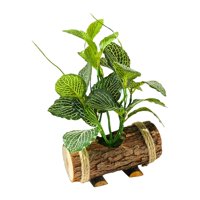 Magideal - Plantas Artificiales Mini Plantas En Macetas Decoración De Vegetación Pequeña Para De Campo Estante De Dormitorio Escritorio De Estilo V