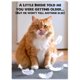 thumbnail image 1 of Tarjeta CardFool de cumpleaños con gato divertido, 5 x 7, 1 of 3