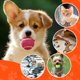 thumbnail image 5 of Pelotas de tenis INSUM 3,8 cm paquete de 20/40 – juguete blando, 5 of 7