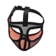 thumbnail image 1 of Mascarilla Ajustable Para Perros Y Mascotas, Mordida Antiladridos, Malla Para Masticar, Bozal Para La Boca, Aseo, Malla Completa, Naranja L, 1 of 5