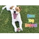 thumbnail image 5 of Tarjeta de cumpleaños Glory To Dog 13 cm x 18 cm, 5 of 7
